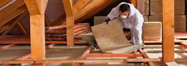 Best Insulation Removal  in Dahlgren, VA