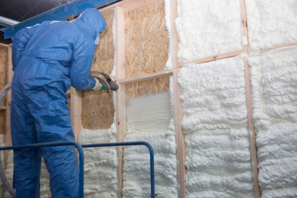 Best Batt and Roll Insulation  in Dahlgren, VA